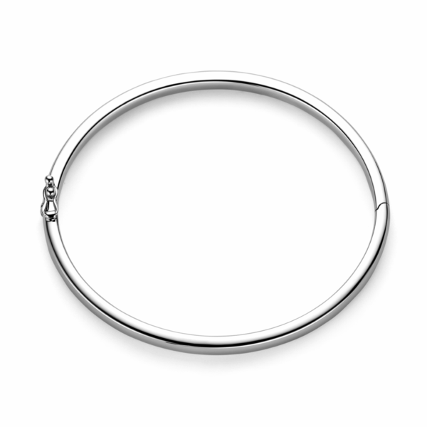 bangle scharnier 5 mm bolle buis zilver gerhodineerd