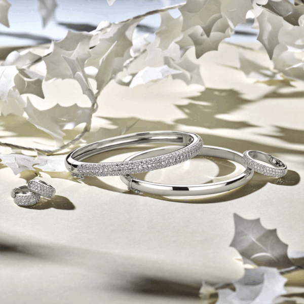 bangle scharnier 5 mm bolle buis zilver gerhodineerd